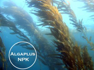 Algaplus NPK Extracto de Algas
